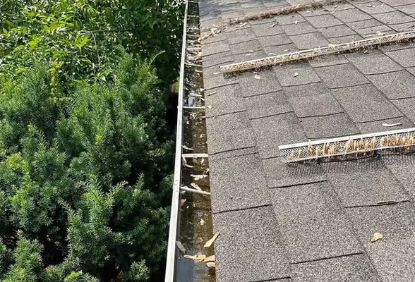 Before Eavestrough Cleaning