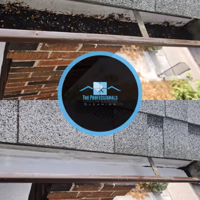 Power washing project 11