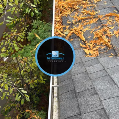 Window cleaning project 12